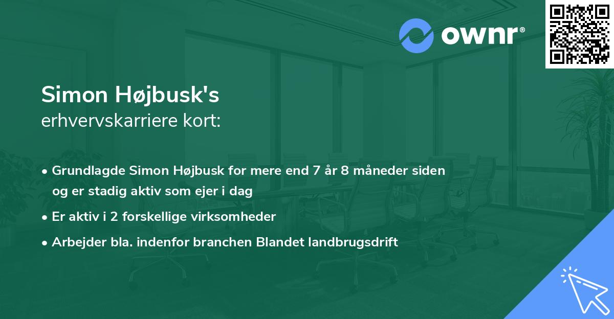Simon Højbusk's erhvervskarriere kort