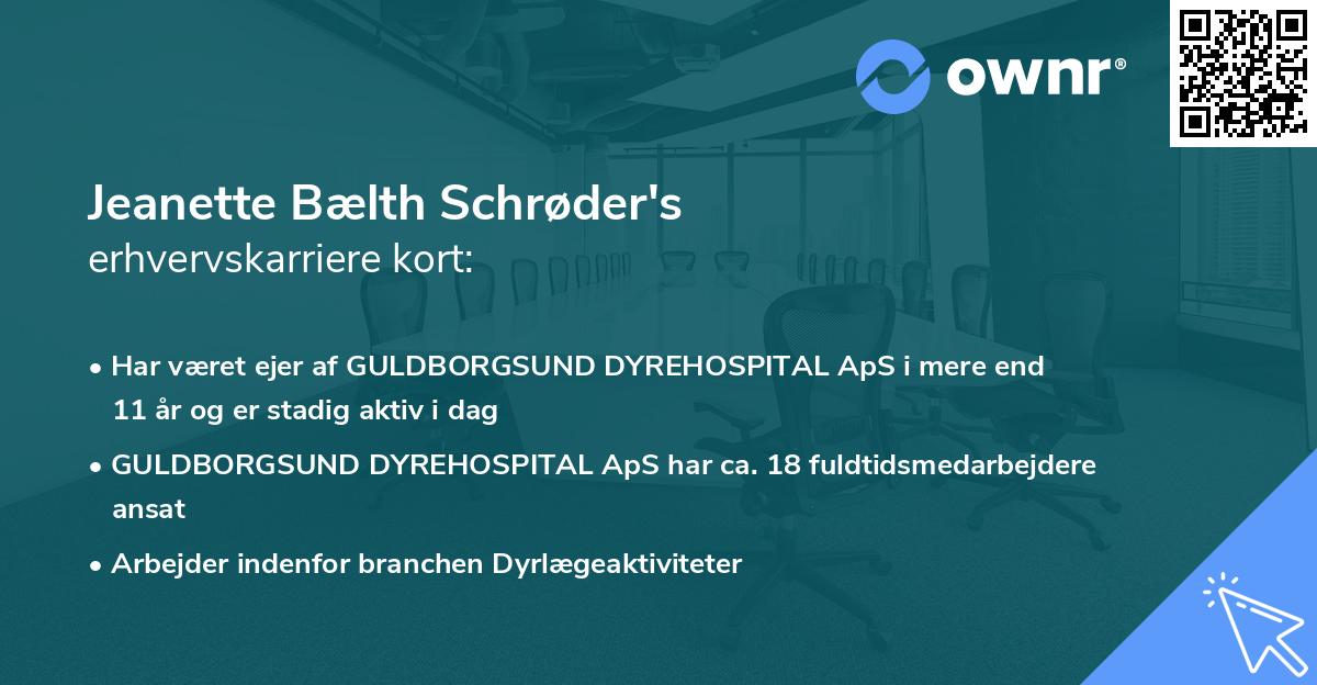 Jeanette Bælth Schrøder's erhvervskarriere kort