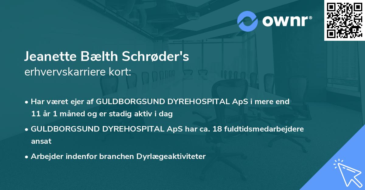 Jeanette Bælth Schrøder's erhvervskarriere kort