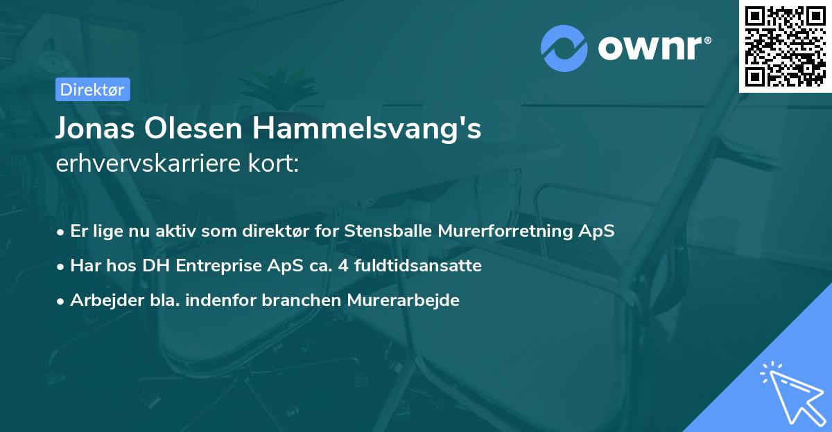 Jonas Olesen Hammelsvang's erhvervskarriere kort