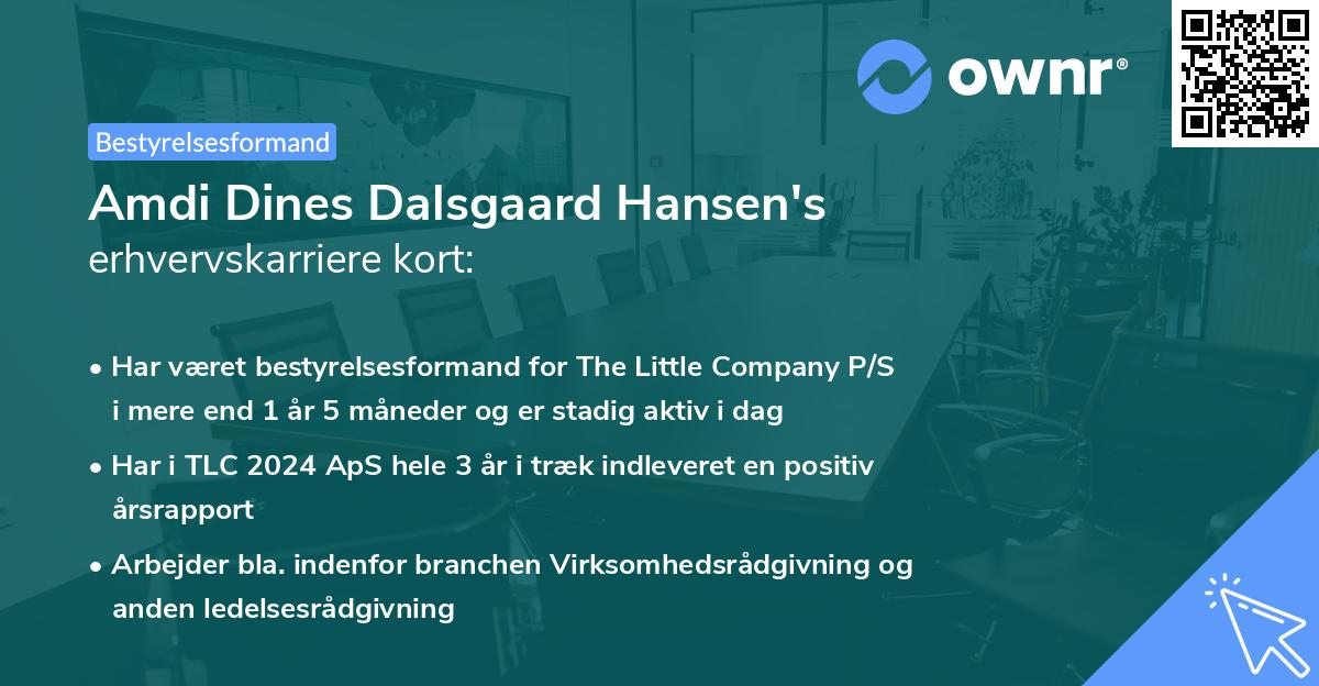 Amdi Dines Dalsgaard Hansen's erhvervskarriere kort