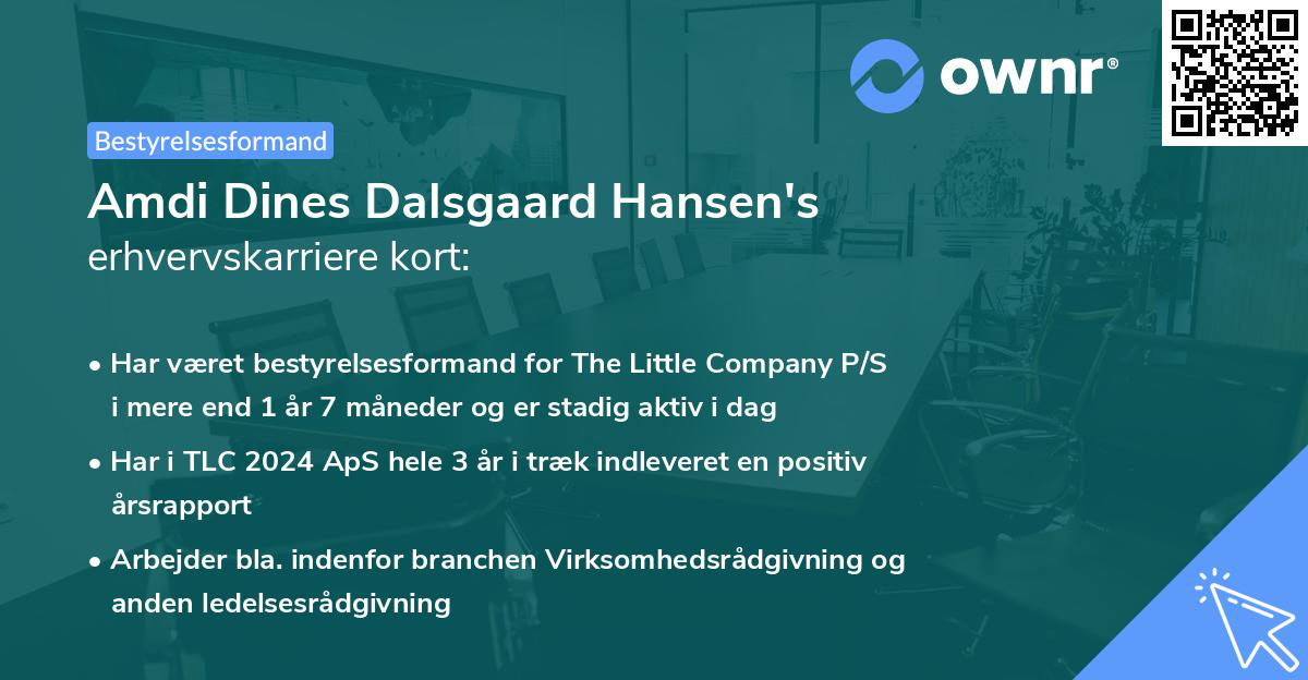 Amdi Dines Dalsgaard Hansen's erhvervskarriere kort