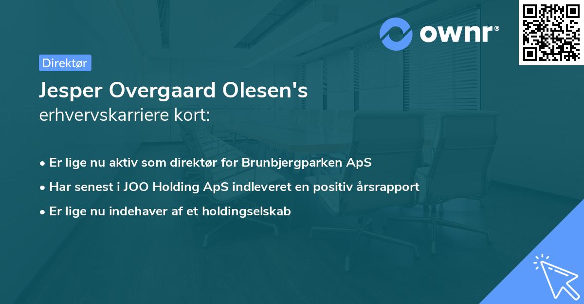 Jesper Overgaard Olesen's erhvervskarriere kort