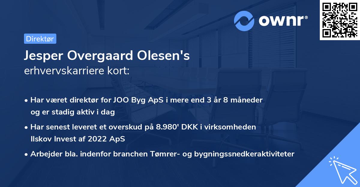 Jesper Overgaard Olesen's erhvervskarriere kort