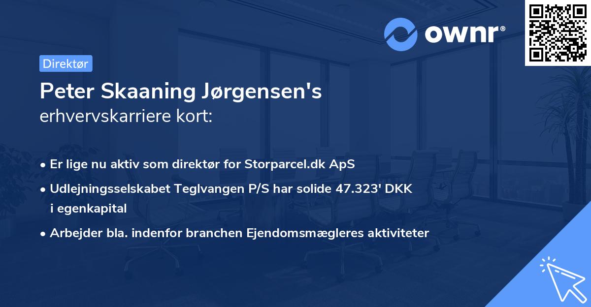 Peter Skaaning Jørgensen's erhvervskarriere kort