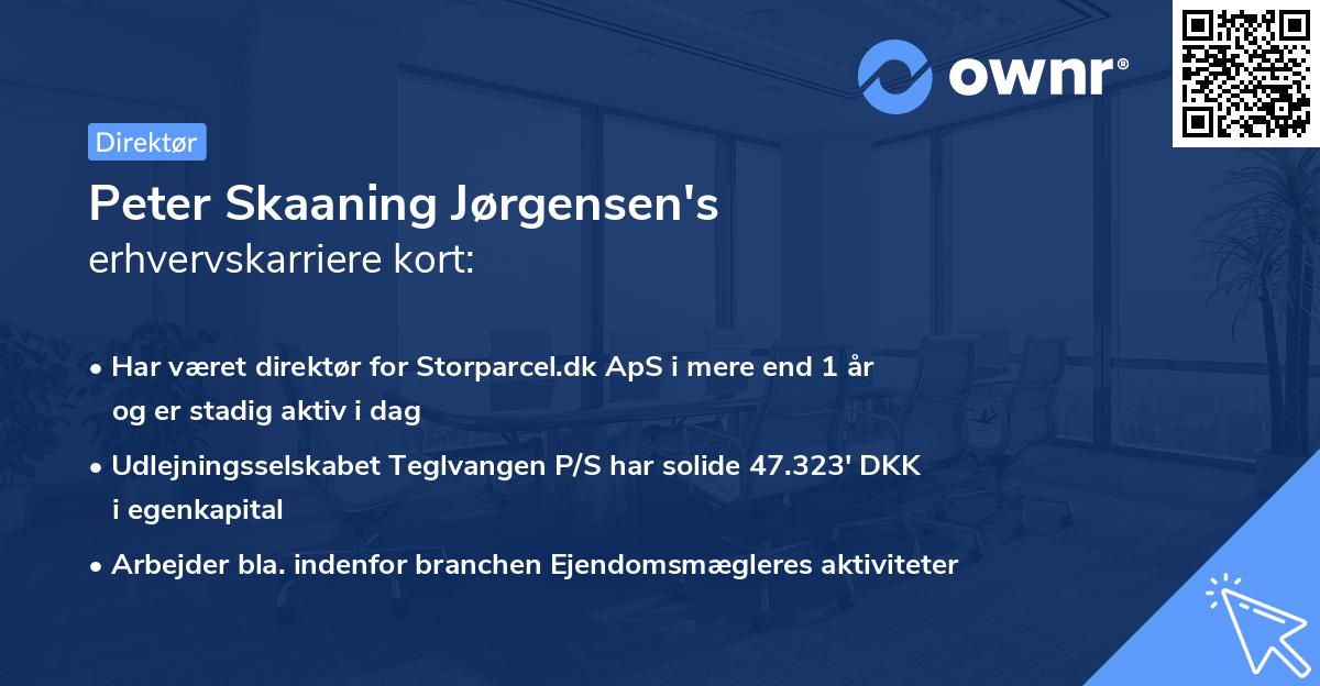 Peter Skaaning Jørgensen's erhvervskarriere kort