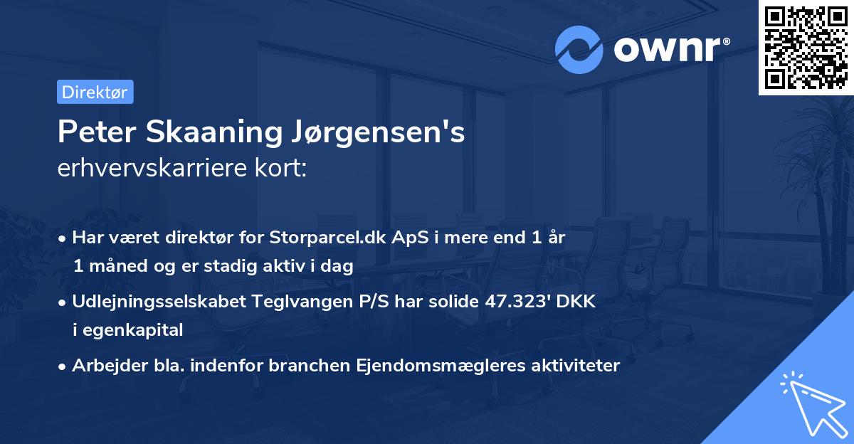 Peter Skaaning Jørgensen's erhvervskarriere kort