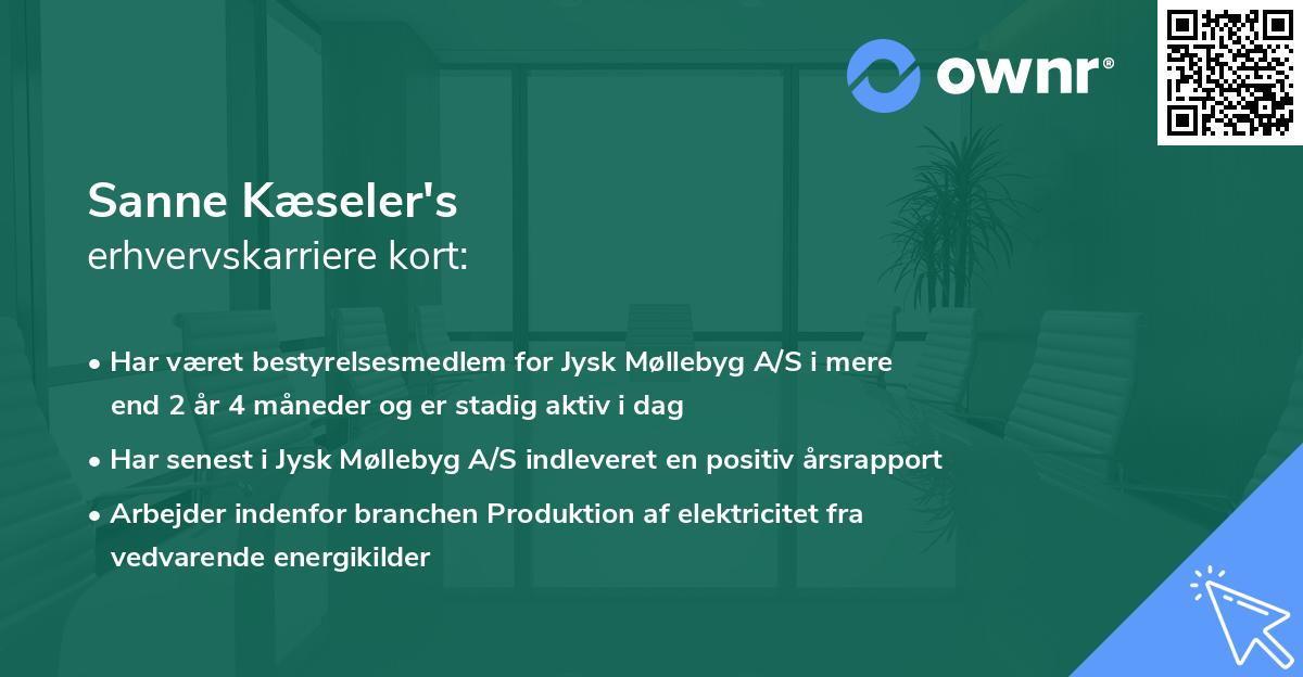 Sanne Kæseler's erhvervskarriere kort