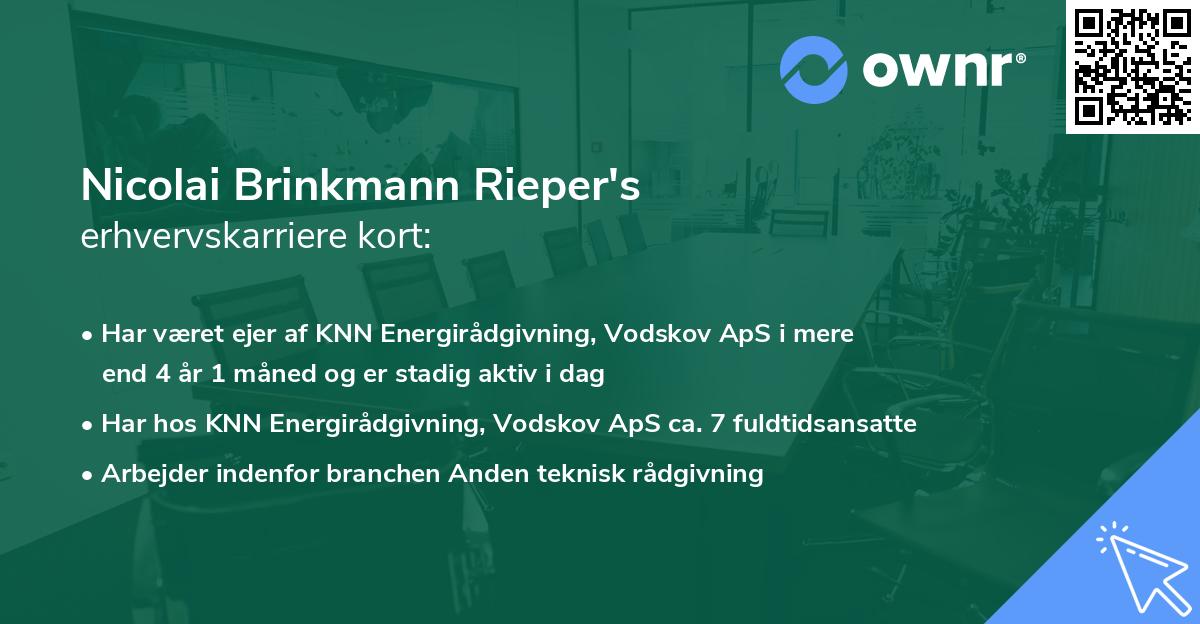 Nicolai Brinkmann Rieper's erhvervskarriere kort