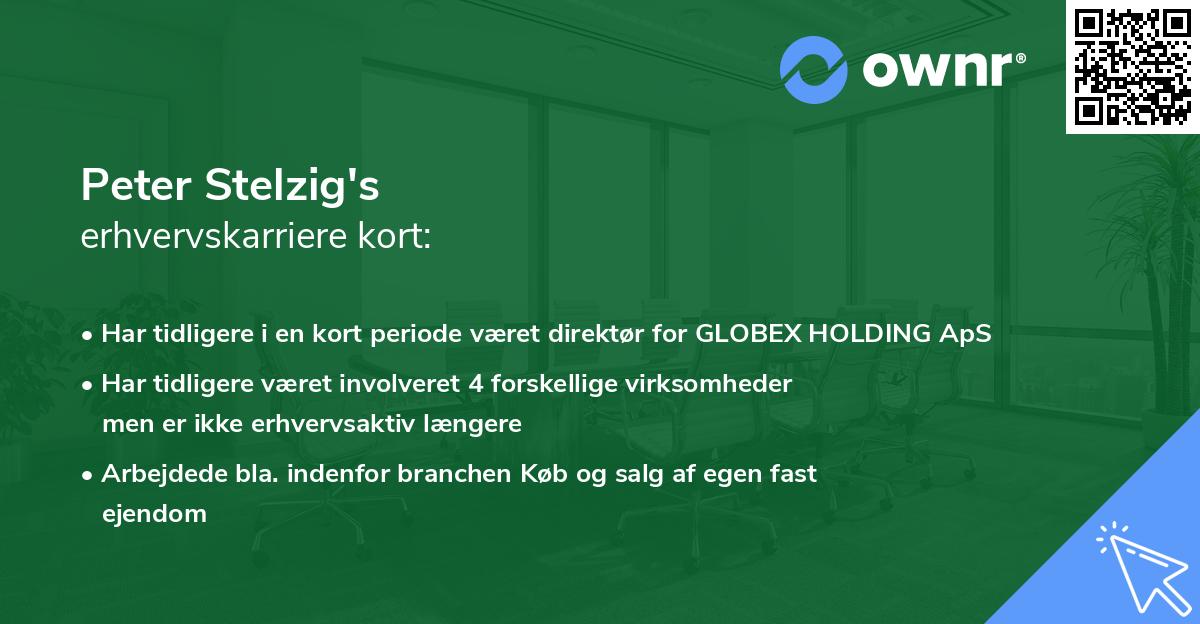 Peter Stelzig's erhvervskarriere kort