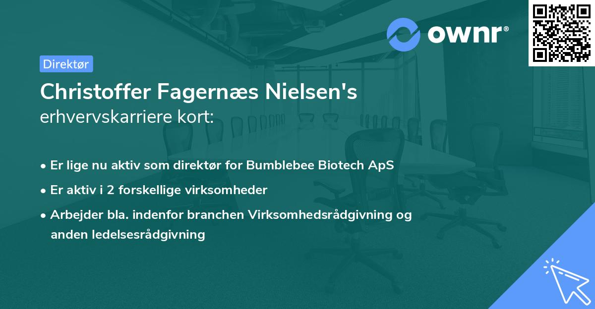 Christoffer Fagernæs Nielsen's erhvervskarriere kort