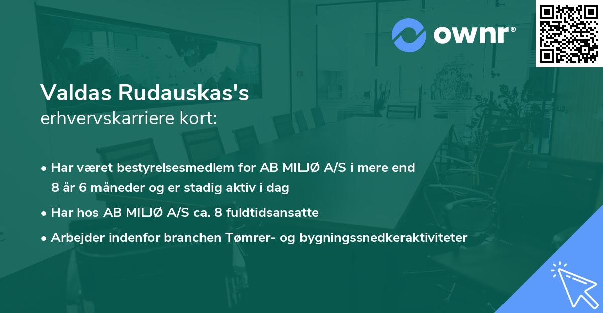Valdas Rudauskas's erhvervskarriere kort