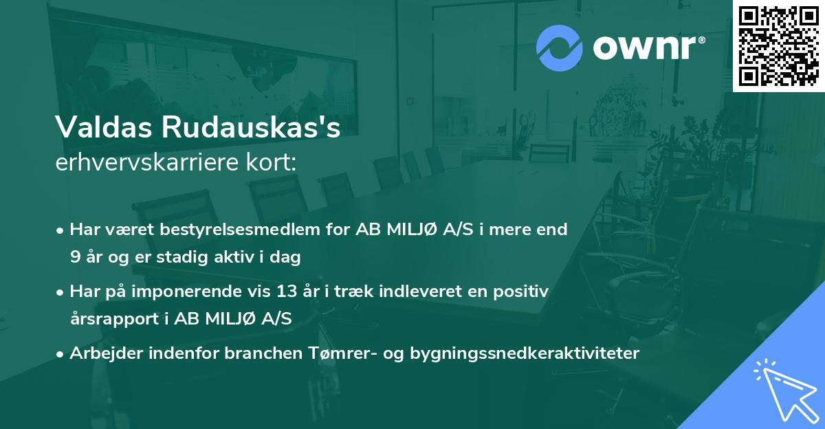 Valdas Rudauskas's erhvervskarriere kort