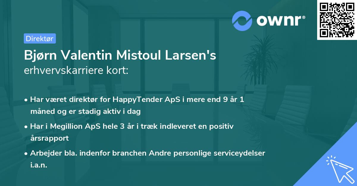 Bjørn Valentin Mistoul Larsen's erhvervskarriere kort