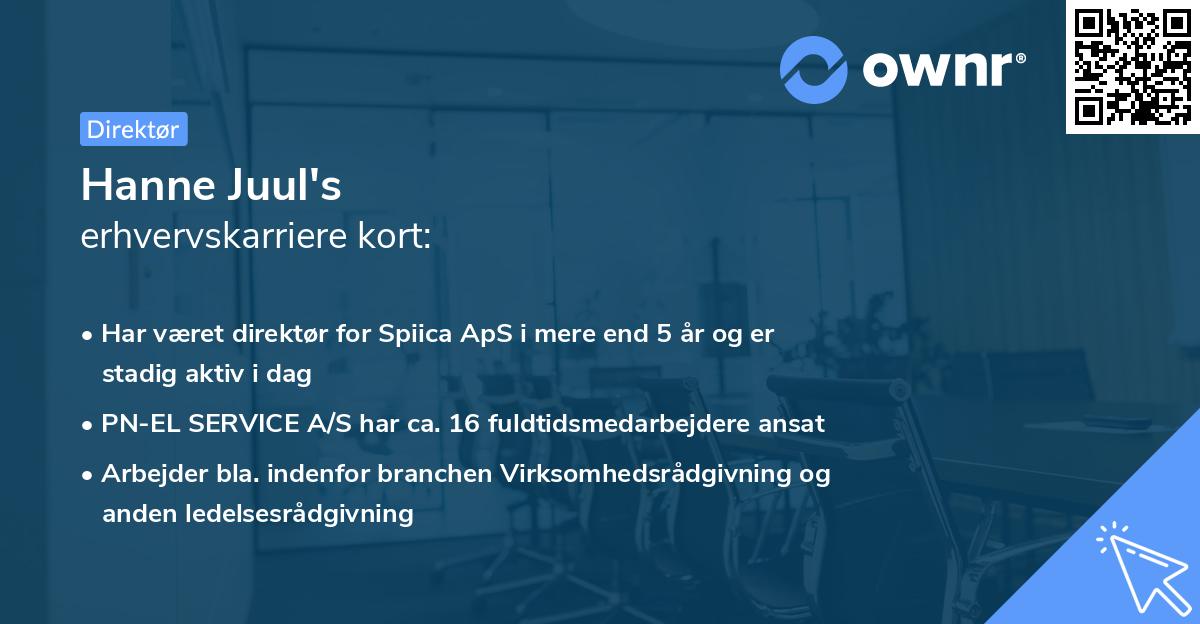 Hanne Juul's erhvervskarriere kort