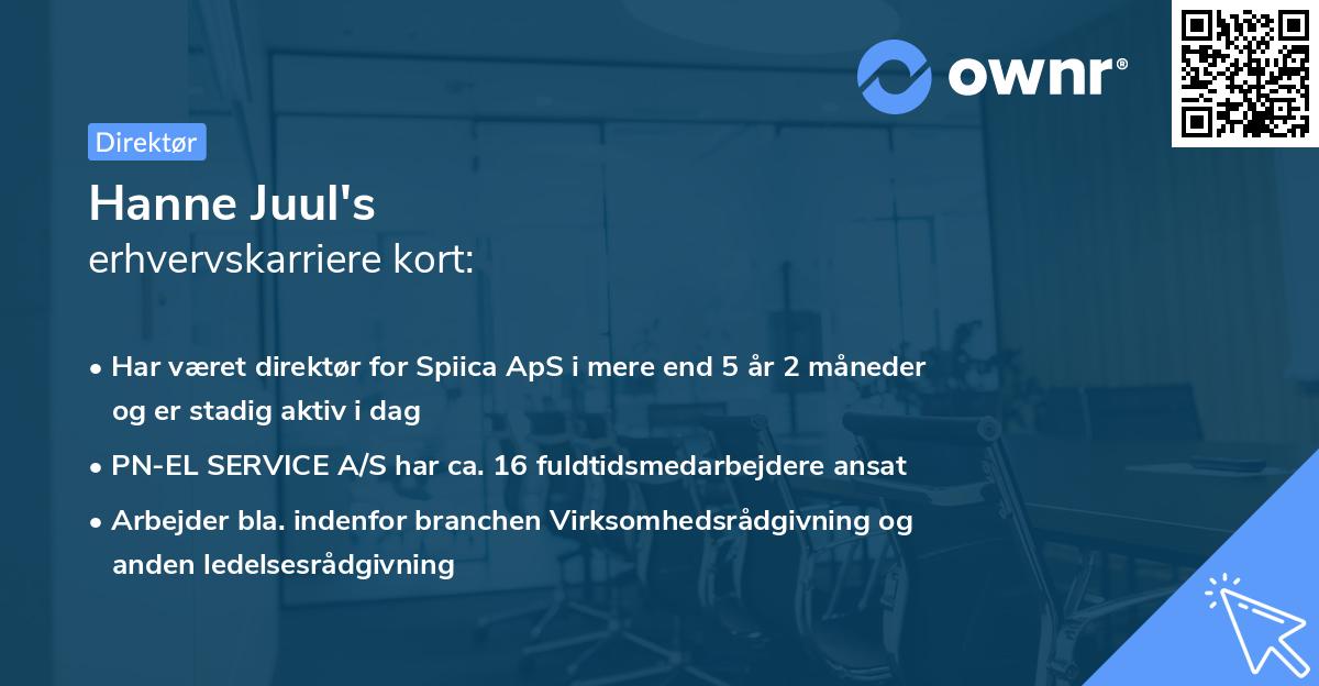 Hanne Juul's erhvervskarriere kort