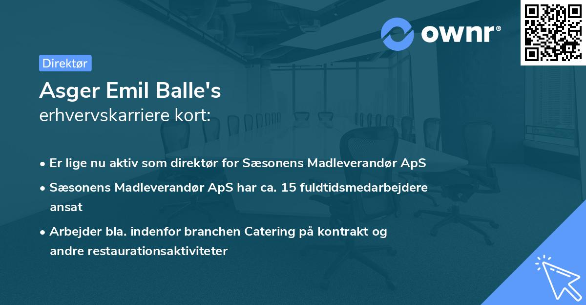 Asger Emil Balle's erhvervskarriere kort