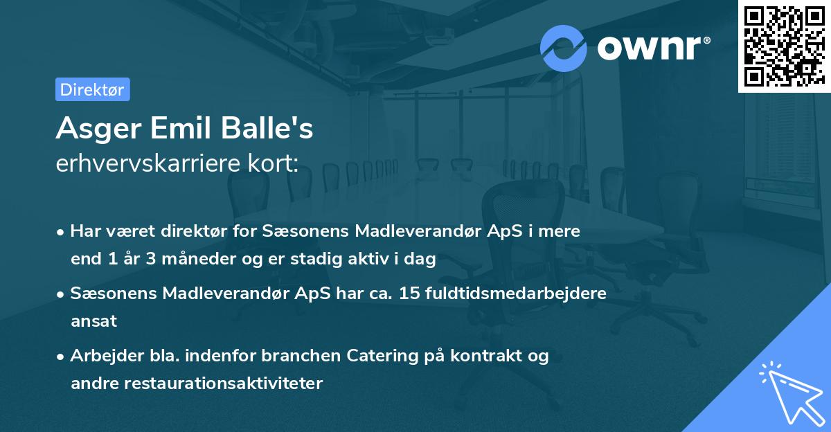 Asger Emil Balle's erhvervskarriere kort