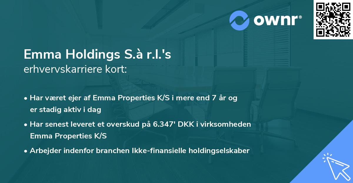 Emma Holdings S.à r.l.'s erhvervskarriere kort