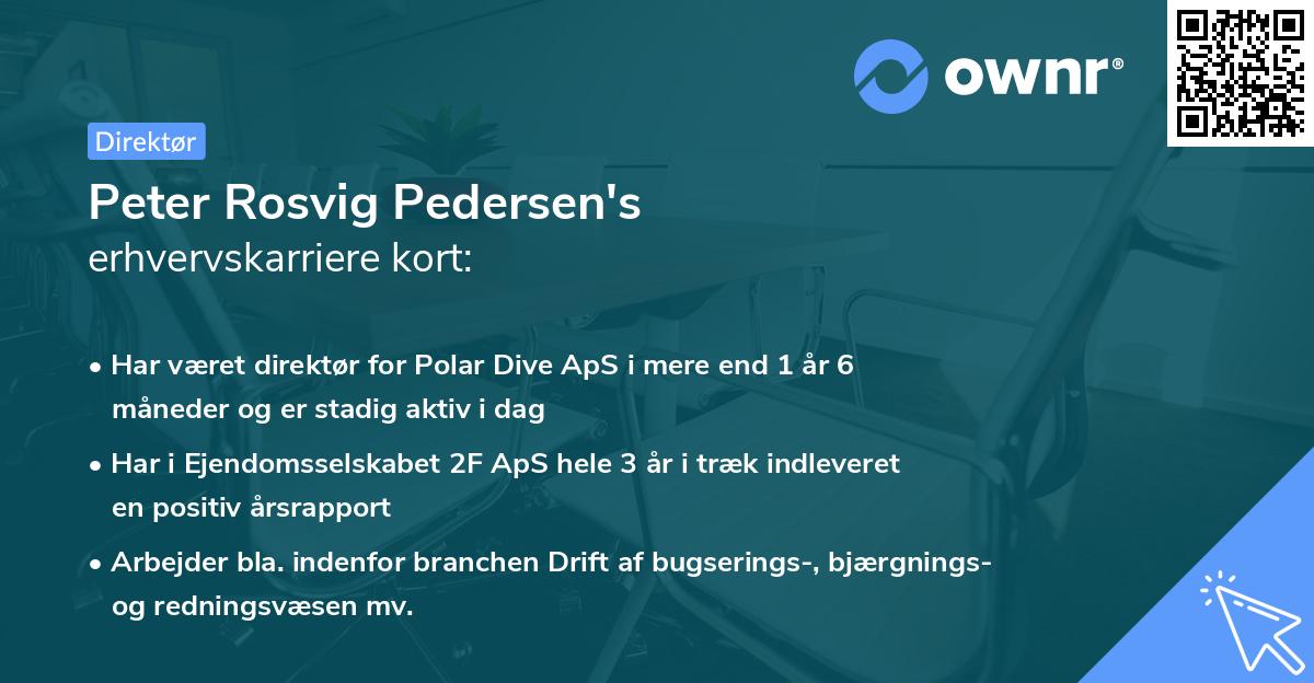 Peter Rosvig Pedersen's erhvervskarriere kort
