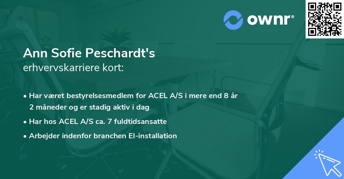 Ann Sofie Peschardt's erhvervskarriere kort