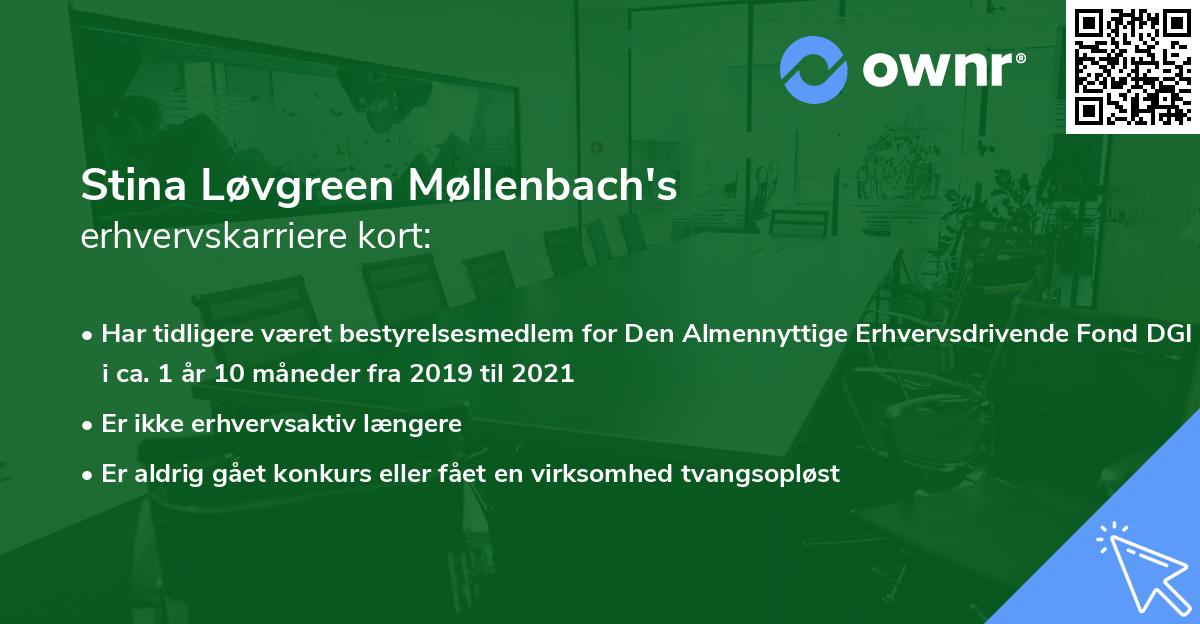Stina Løvgreen Møllenbach's erhvervskarriere kort