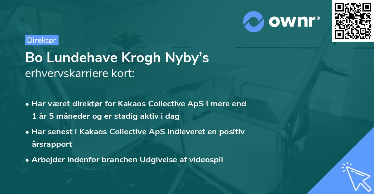 Bo Lundehave Krogh Nyby's erhvervskarriere kort