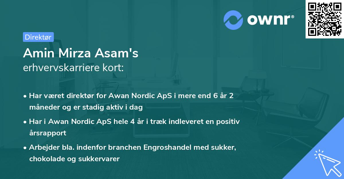 Amin Mirza Asam's erhvervskarriere kort