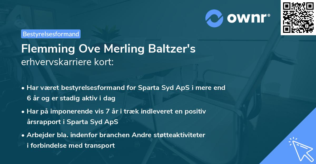 Flemming Ove Merling Baltzer's erhvervskarriere kort