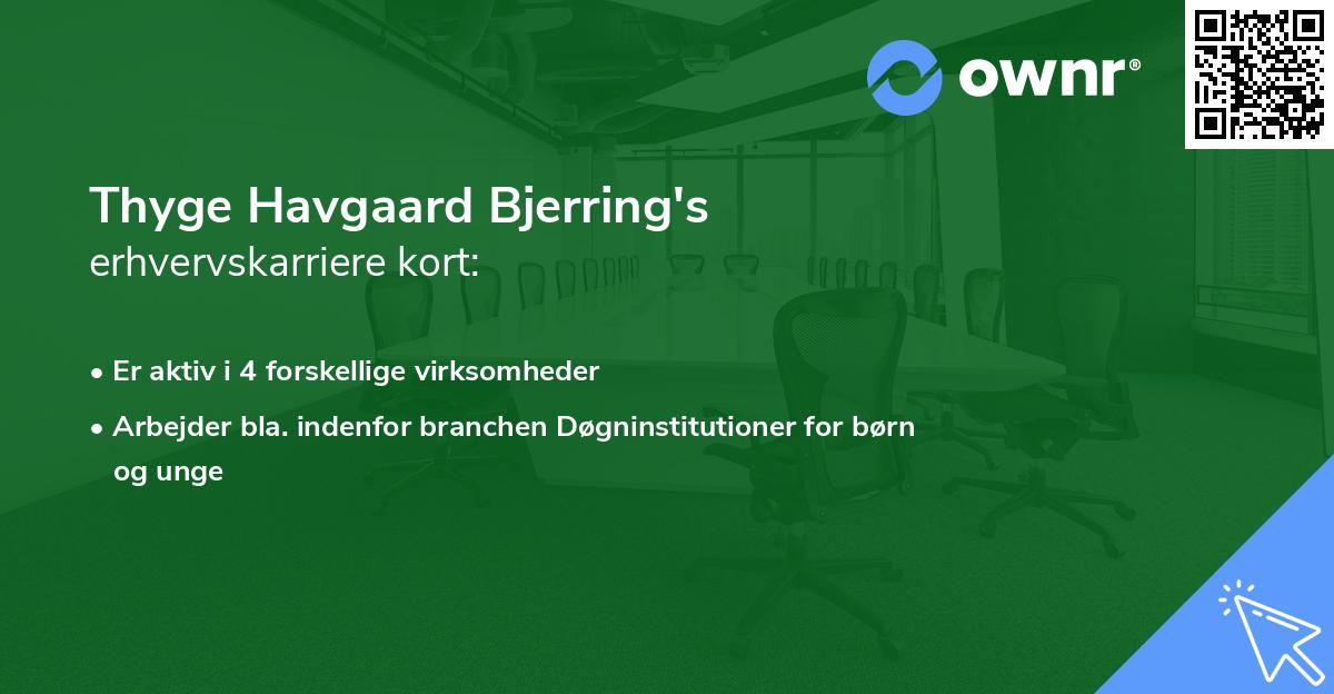 Thyge Havgaard Bjerring's erhvervskarriere kort