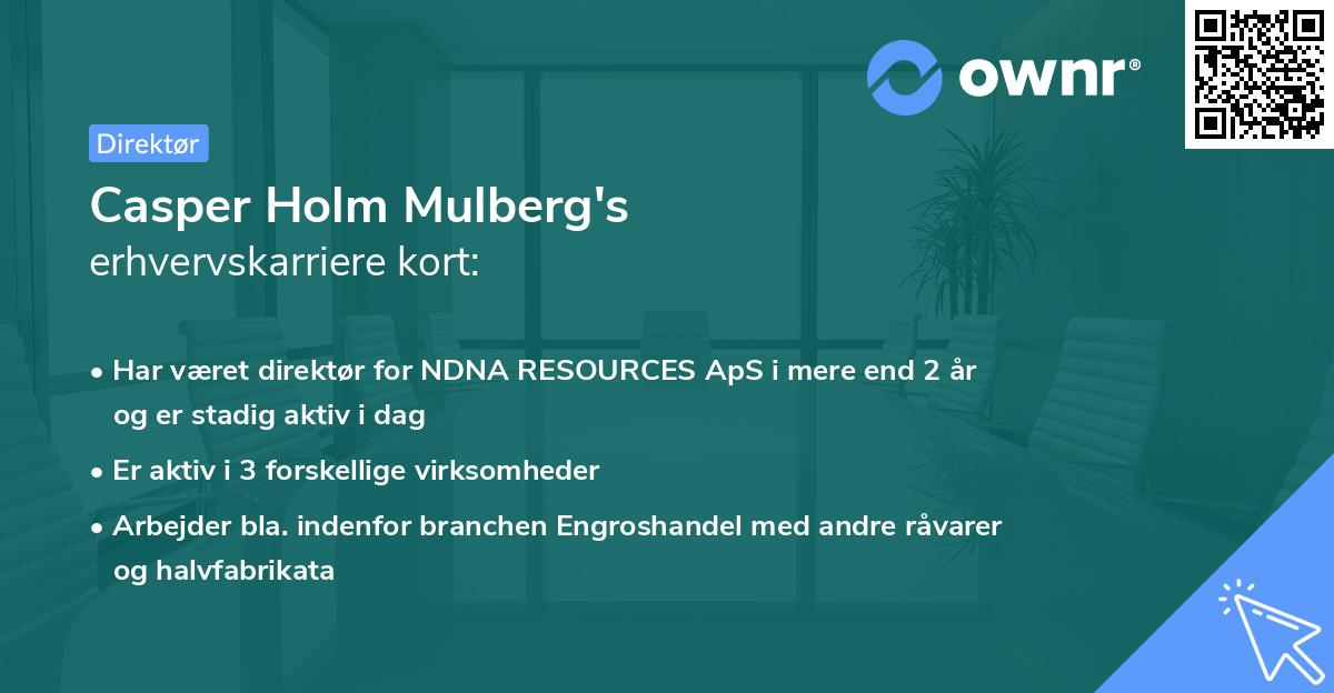 Casper Holm Mulberg's erhvervskarriere kort