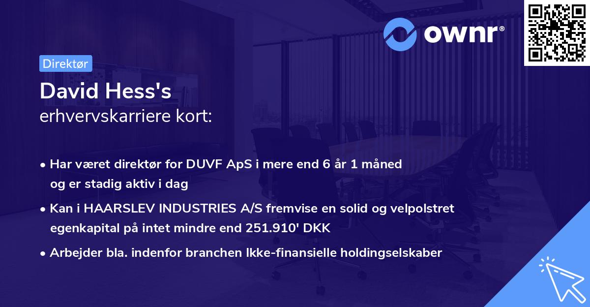 David Hess's erhvervskarriere kort