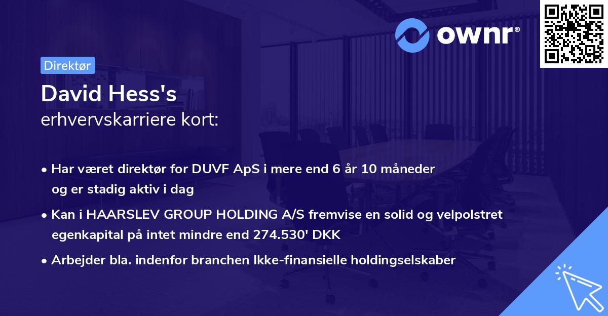David Hess's erhvervskarriere kort