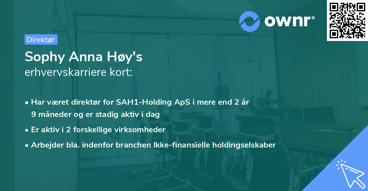 Sophy Anna Høy's erhvervskarriere kort