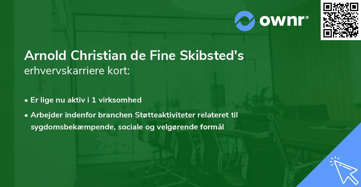 Arnold Christian de Fine Skibsted's erhvervskarriere kort