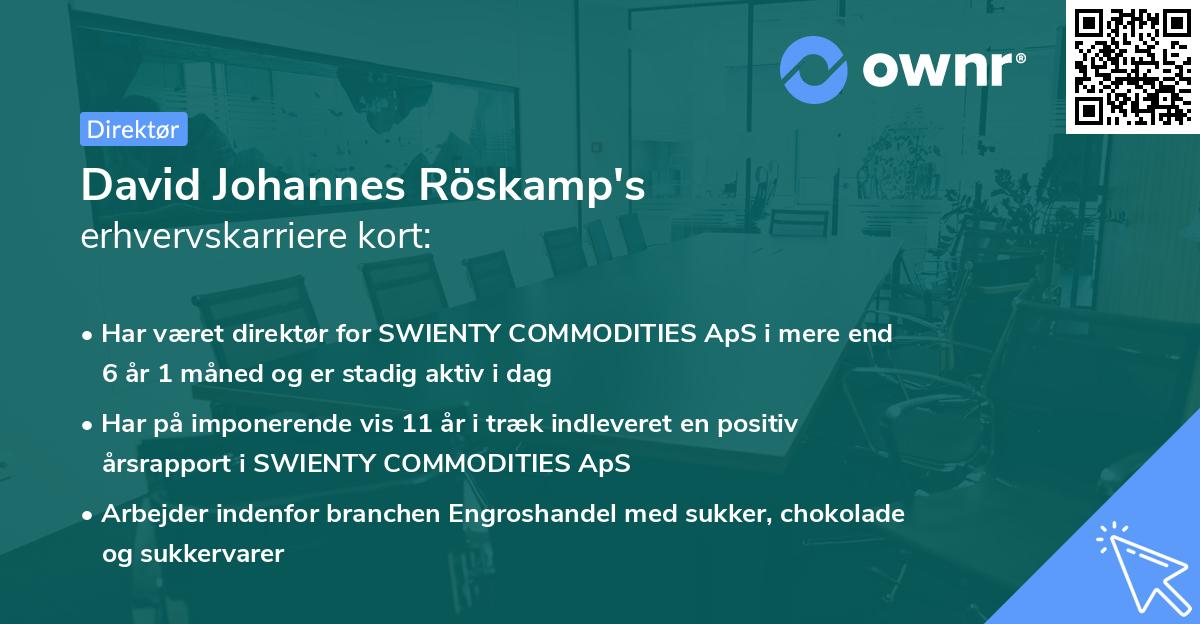 David Johannes Röskamp's erhvervskarriere kort