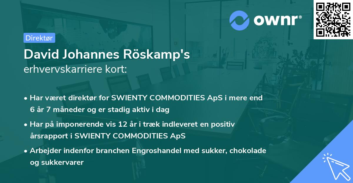 David Johannes Röskamp's erhvervskarriere kort