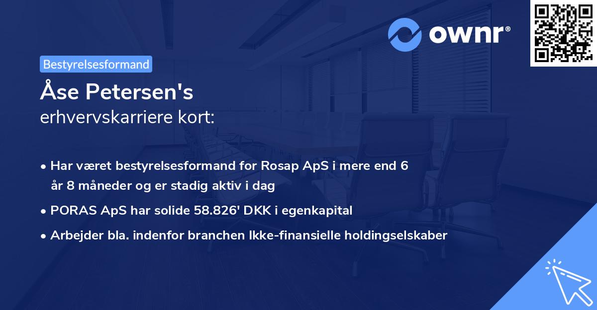 Åse Petersen's erhvervskarriere kort