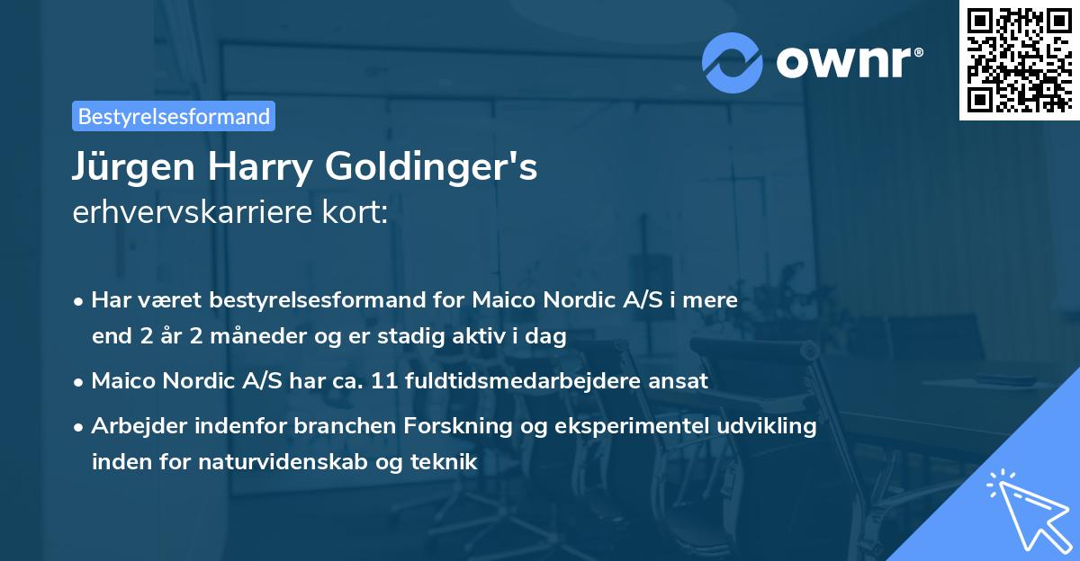 Jürgen Harry Goldinger's erhvervskarriere kort