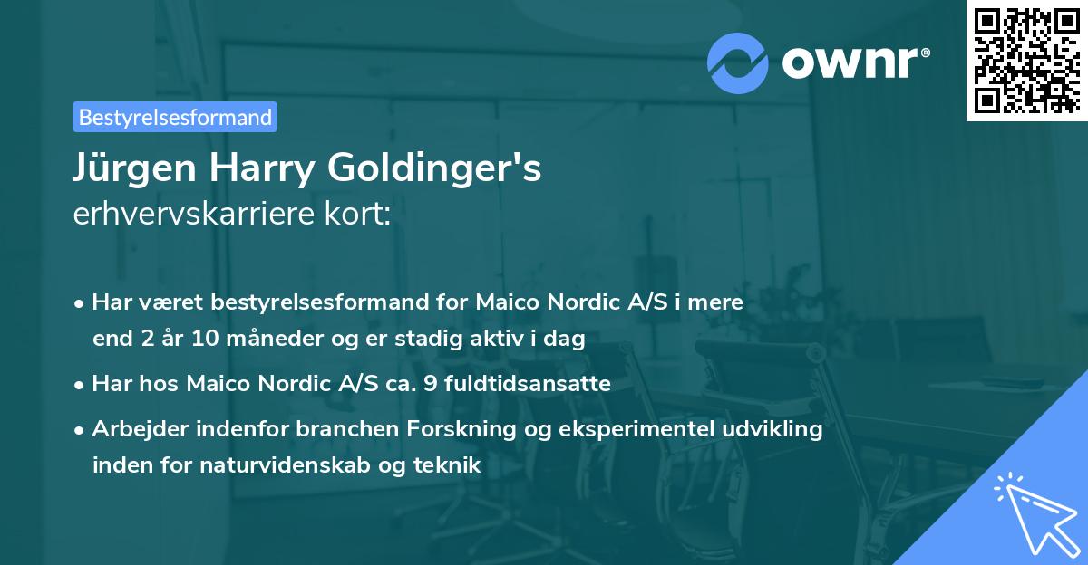 Jürgen Harry Goldinger's erhvervskarriere kort