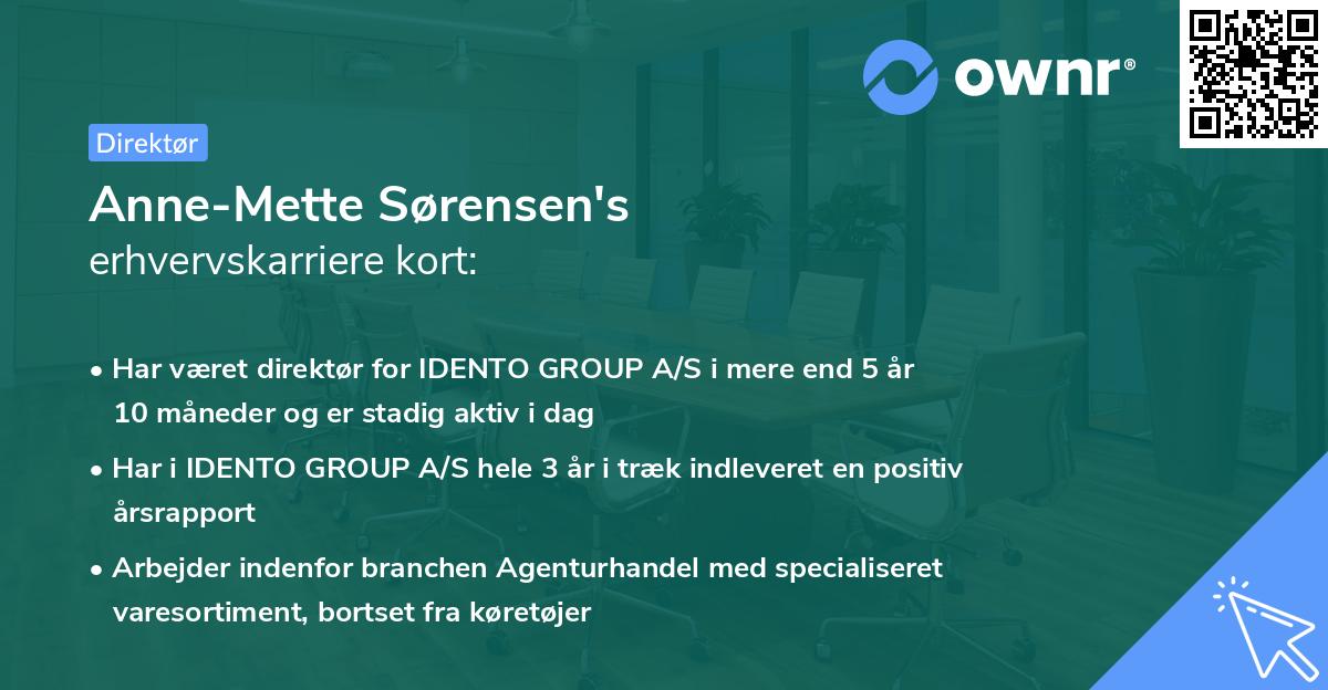 Anne-Mette Sørensen's erhvervskarriere kort