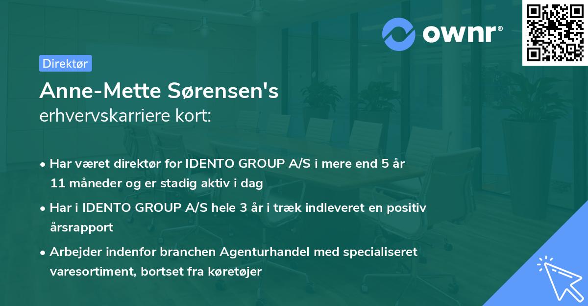 Anne-Mette Sørensen's erhvervskarriere kort