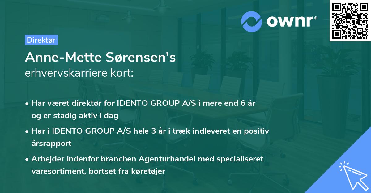 Anne-Mette Sørensen's erhvervskarriere kort