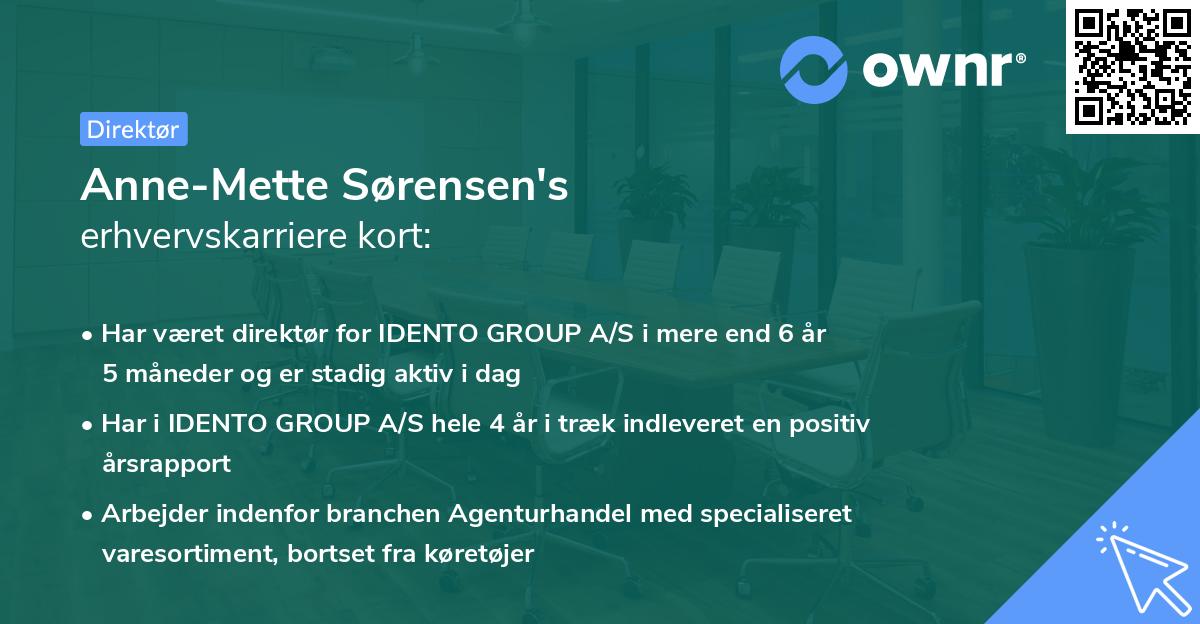 Anne-Mette Sørensen's erhvervskarriere kort