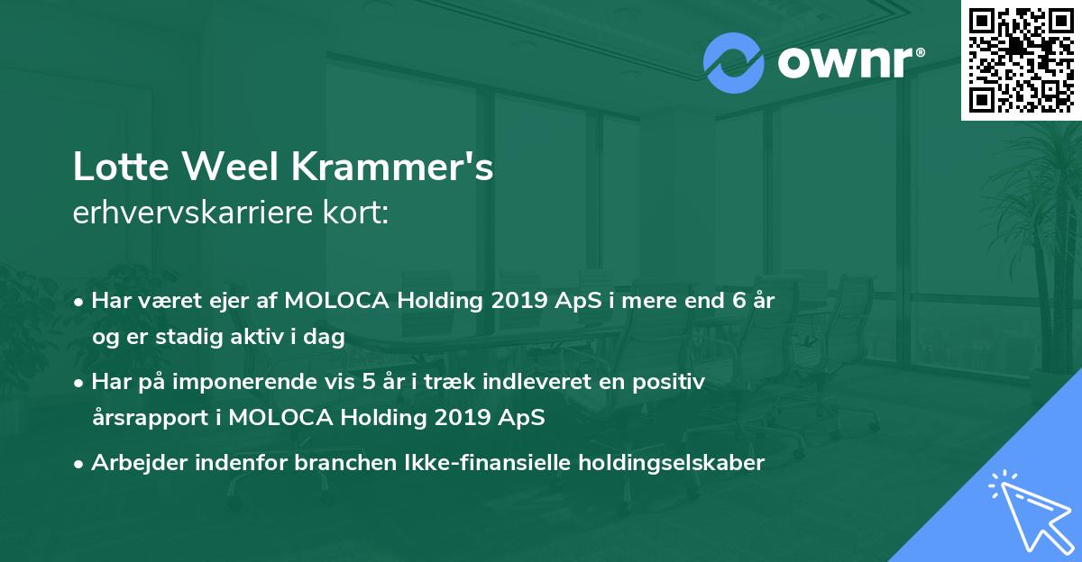 Lotte Weel Krammer's erhvervskarriere kort