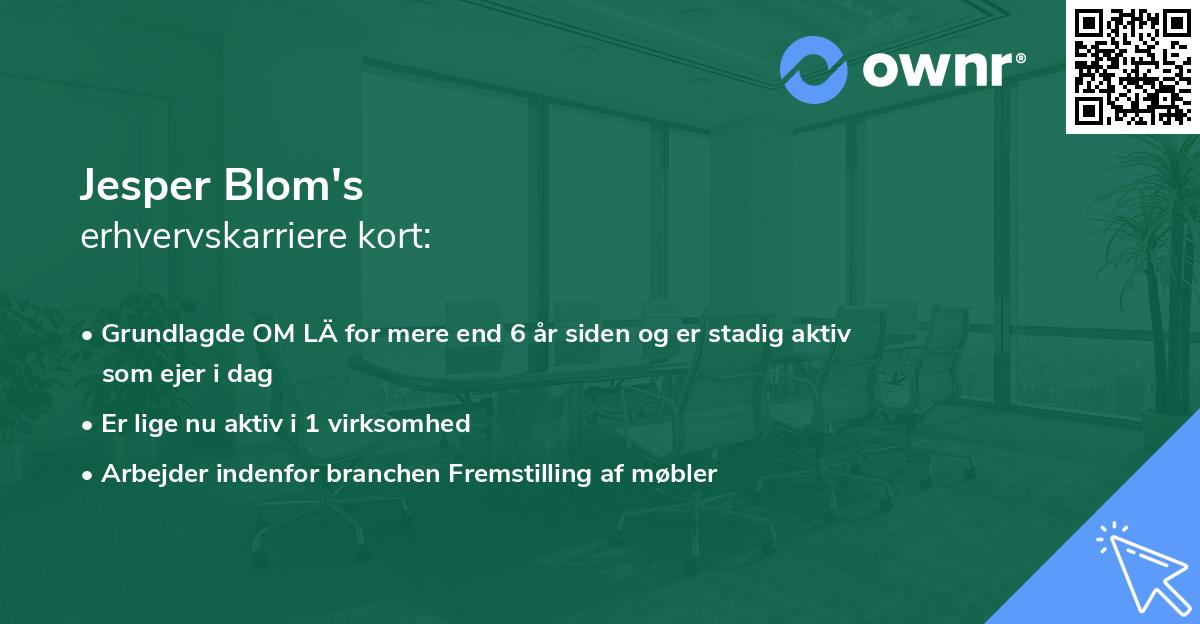Jesper Blom's erhvervskarriere kort