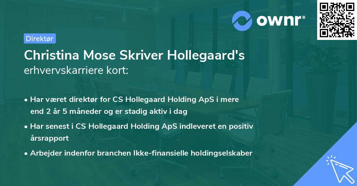 Christina Mose Skriver Hollegaard's erhvervskarriere kort