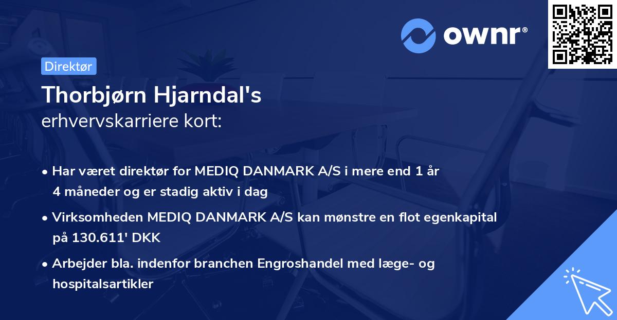 Thorbjørn Hjarndal's erhvervskarriere kort
