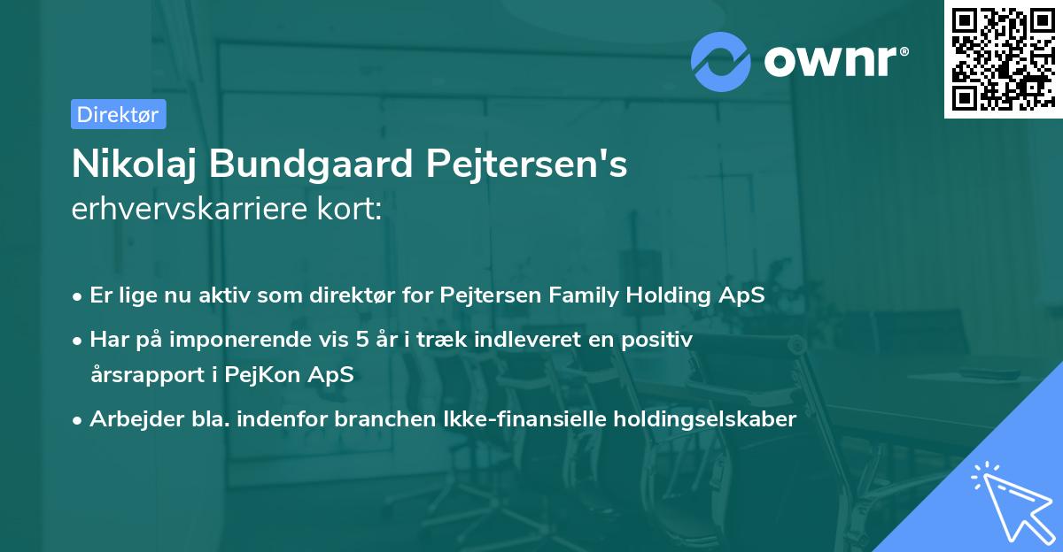 Nikolaj Bundgaard Pejtersen's erhvervskarriere kort