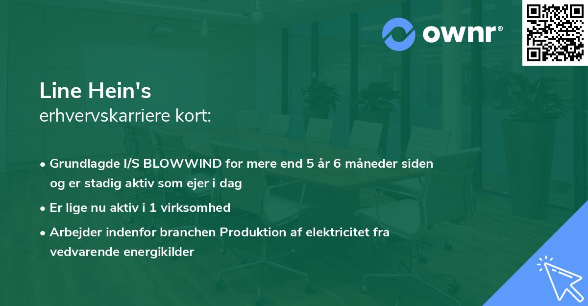 Line Hein's erhvervskarriere kort